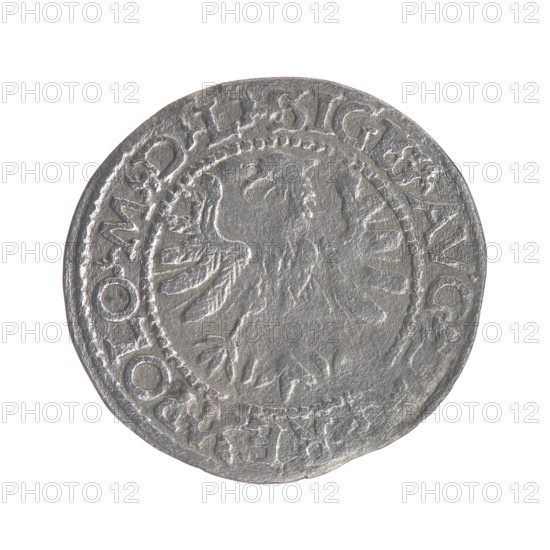 Lithuanian half-grosz, Sigismund II Augustus (King of Poland; 1544–1572). Obv.: Polish Eagle; in