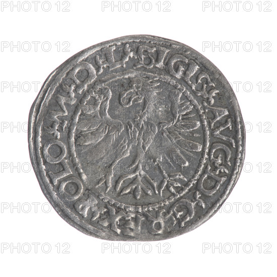 Lithuanian half-grosz, Sigismund II Augustus (King of Poland; 1544–1572). Obverse: Polish eagle, in