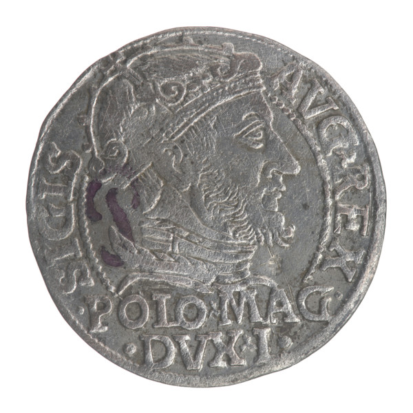 Lithuanian grosz on a Polish foot, Sigismund II Augustus (King of Poland; 1544–1572). Obverse: