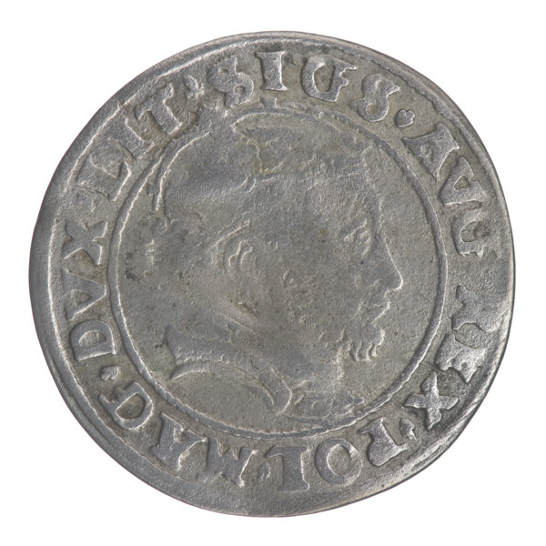Lithuanian grosz on a Lithuanian foot, Sigismund II Augustus (king of Poland; 1520–1572). Obverse: