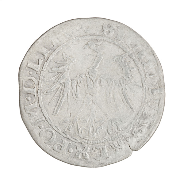 Lithuanian grosz, Sigismund I the Old (King of Poland, 1506–1548). Obverse: Polish Eagle; in rim