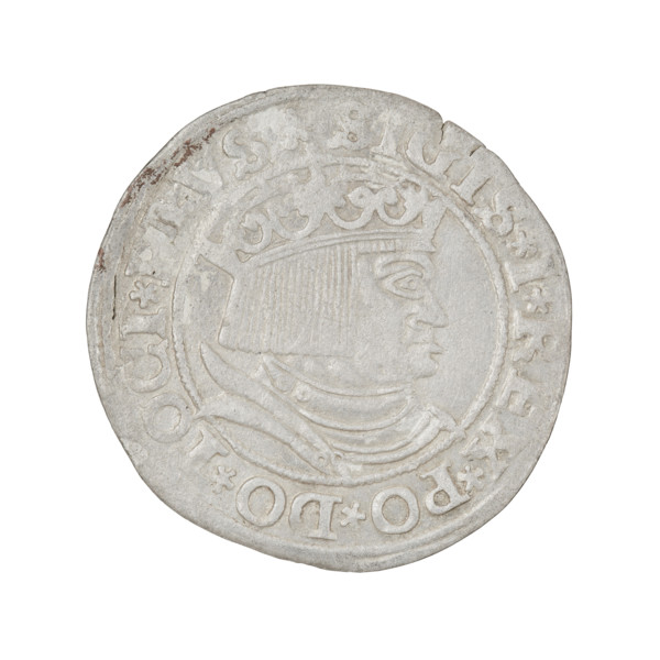 Prussian grosz, Sigismund I the Old (King of Poland; 1506–1548). Obverse: crowned male bust in