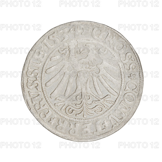 Prussian grosz, Sigismund I the Old (King of Poland; 1506–1548); 1534. Obverse: Crowned male bust