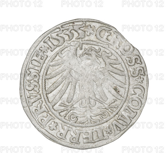 Prussian grosz, Sigismund I the Old (King of Poland; 1506–1548). Obverse: Crowned male bust in