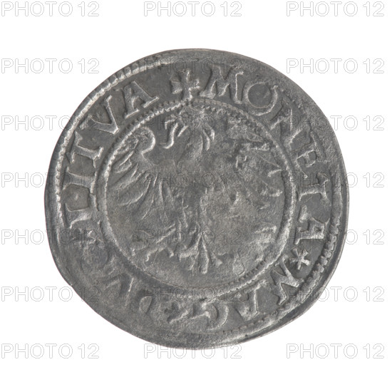 Lithuanian half-grosz, Sigismund II Augustus (King of Poland; 1544–1572). Obverse: Lithuanian
