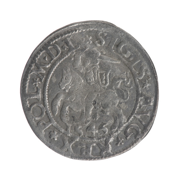 Lithuanian half-grosz, Sigismund II Augustus (King of Poland; 1544–1572). Obverse: Lithuanian