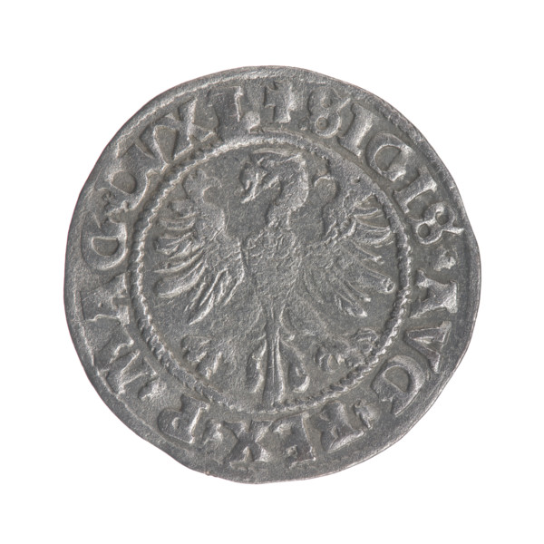 Lithuanian half-grosz, Sigismund II Augustus (King of Poland; 1544–1572). Obverse: Polish Eagle; in