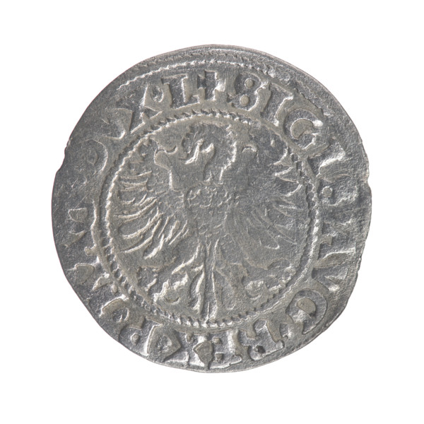 Lithuanian half-grosz, Sigismund II Augustus (King of Poland; 1544–1572). Obverse: Polish Eagle; in