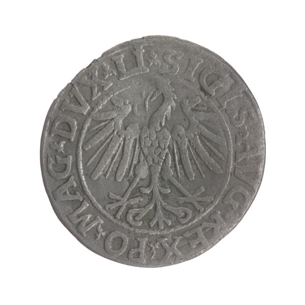 Lithuanian half-grosz, Sigismund II Augustus (King of Poland; 1544–1572); obverse: Polish Eagle