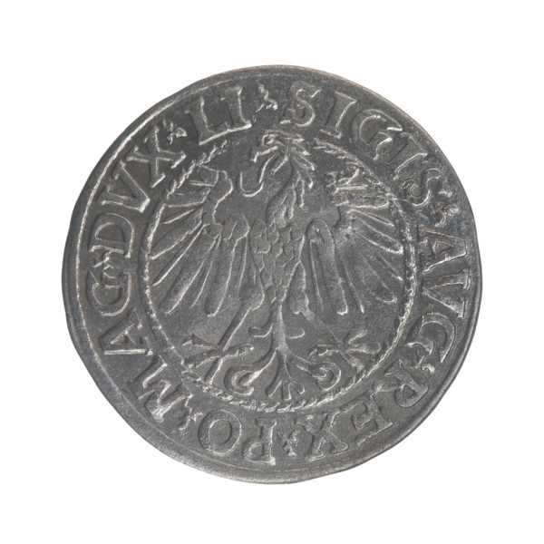 Lithuanian half-grosz, Sigismund II Augustus (King of Poland; 1544–1572). Obverse: Polish Eagle; in