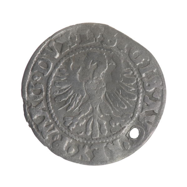 Lithuanian half-grosz (1546), Sigismund II Augustus (King of Poland, 1544–1572). Obverse: Polish