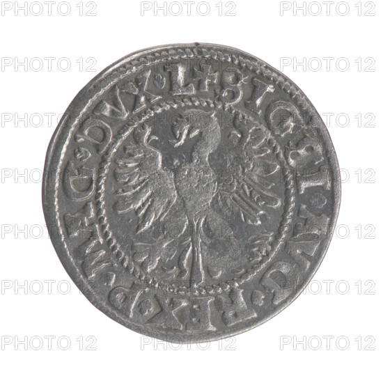 Lithuanian half-grosz, Sigismund II Augustus (King of Poland; 1544–1572). Obverse: Polish eagle; in