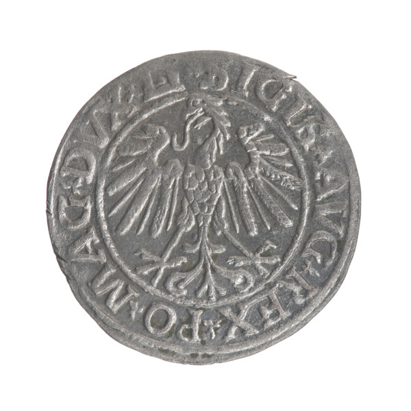 Lithuanian half-grosz, Sigismund II Augustus (King of Poland; 1544–1572). Obverse: Polish Eagle; in