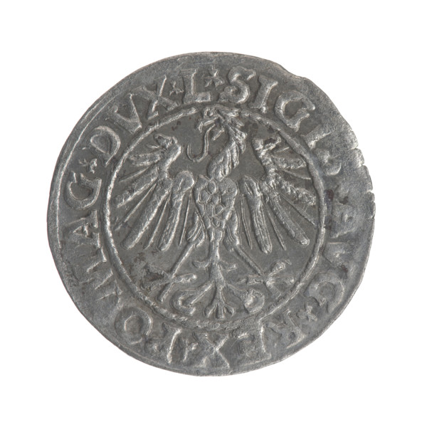 Lithuanian half-grosz, Sigismund II Augustus (King of Poland; 1544–1572). Obverse: Polish eagle; in
