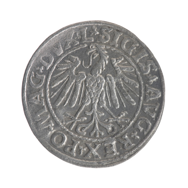 Lithuanian half-grosz, Sigismund II Augustus (King of Poland; 1544–1572). Obverse: Polish Eagle; in