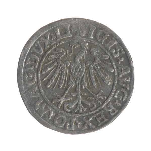 Lithuanian half-grosz, Sigismund II Augustus (King of Poland; 1544–1572). Obverse: Polish eagle; in