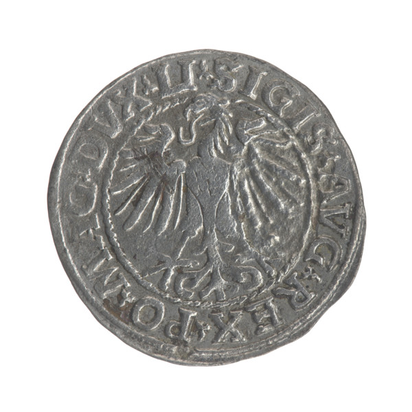 Lithuanian half-grosz, Sigismund II Augustus (King of Poland; 1544–1572). Obverse: Polish Eagle; in