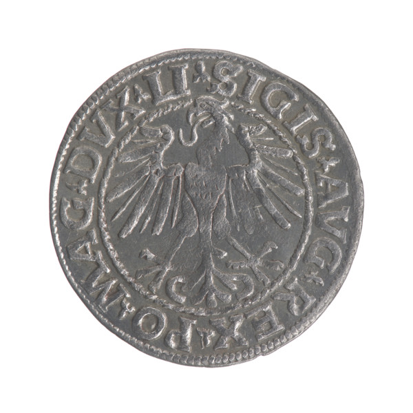 Lithuanian half-grosz, Sigismund II Augustus (King of Poland; 1544–1572). Obverse: Polish eagle; in