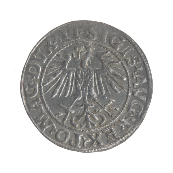 Lithuanian half-grosz, Sigismund II Augustus (King of Poland; 1544–1572). Obverse: Polish eagle; in
