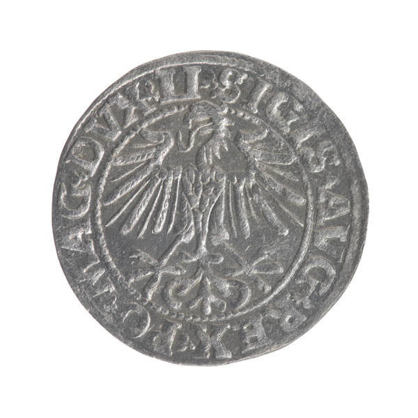 Lithuanian half-grosz, Sigismund II Augustus (King of Poland; 1544–1572). Obverse: Polish Eagle; in