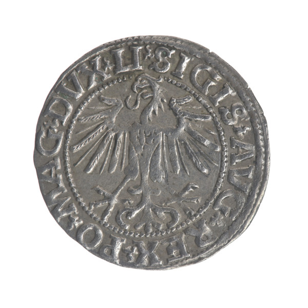 Lithuanian half-grosz, Sigismund II Augustus (King of Poland; 1544–1572). Obverse: Polish Eagle; in