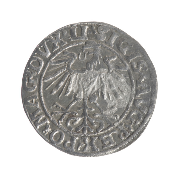 Lithuanian half-grosz, Sigismund II Augustus (King of Poland; 1544–1572). Obverse: Polish eagle; in