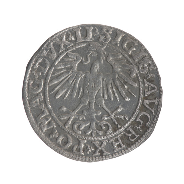 Lithuanian half-grosz, Sigismund II Augustus (King of Poland; 1544–1572). Obverse: Polish eagle; in
