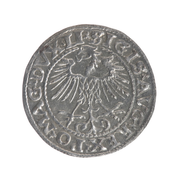 Lithuanian half-grosz, Sigismund II Augustus (King of Poland; 1544–1572). Obverse: Polish Eagle; in