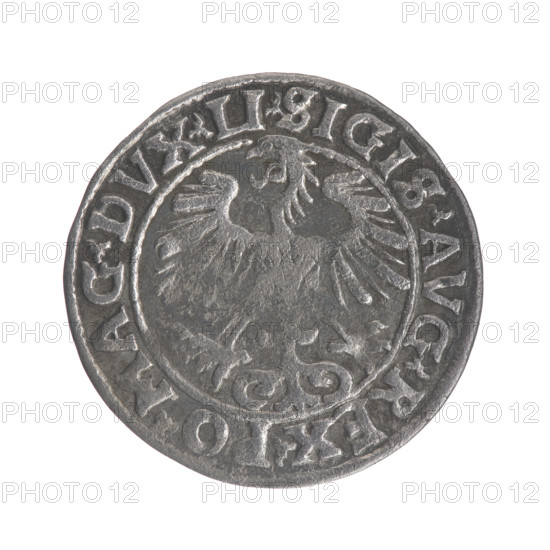 Lithuanian half-grosz, Sigismund II Augustus (King of Poland; 1544–1572). Obverse: Polish eagle; in