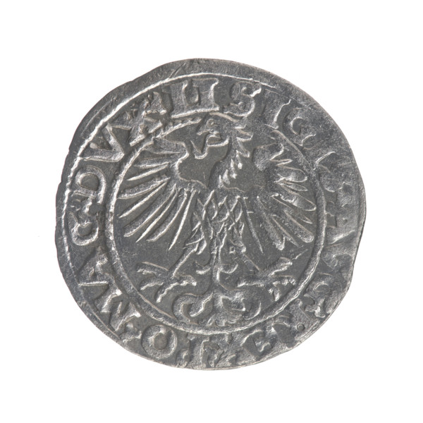 Lithuanian half-grosz, Sigismund II Augustus (King of Poland; 1544–1572). Obverse: Polish Eagle; in
