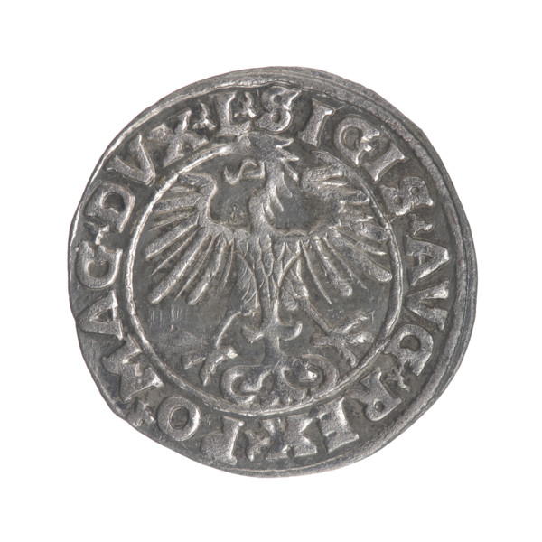 Lithuanian half-grosz, Sigismund II Augustus (King of Poland; 1544–1572). Obverse: Polish eagle; in