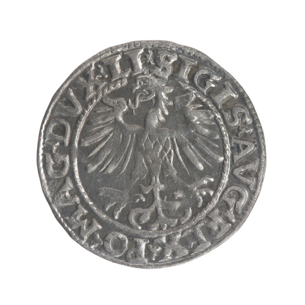 Lithuanian half-grosz, Sigismund II Augustus (King of Poland; 1544–1572). Obverse: Polish eagle; in
