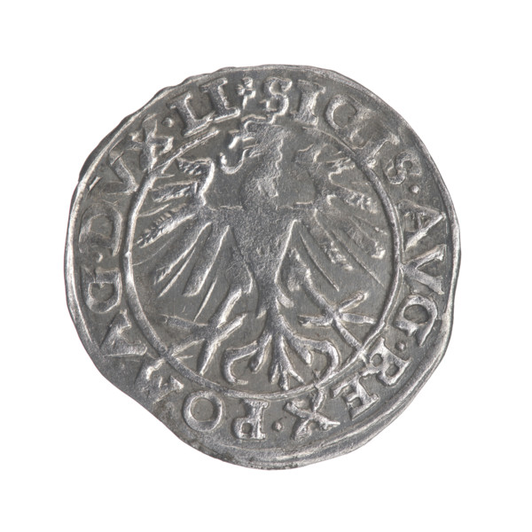 Lithuanian half-grosz, Sigismund II Augustus (King of Poland; 1544–1572). Obverse: Polish Eagle; in