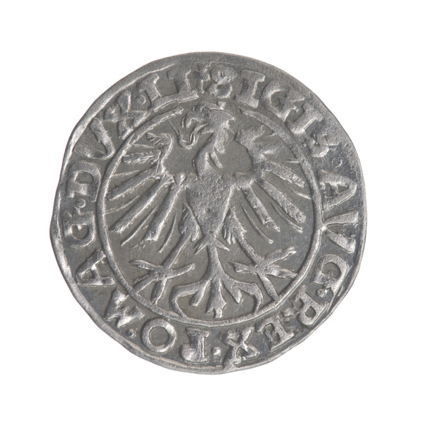 Lithuanian half-grosz, Sigismund II Augustus (King of Poland; 1544–1572). Obverse: Polish Eagle; in