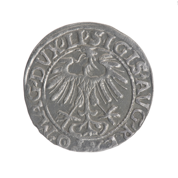 Lithuanian half-grosz, Sigismund II Augustus (King of Poland; 1544–1572). Obverse: Polish Eagle; in