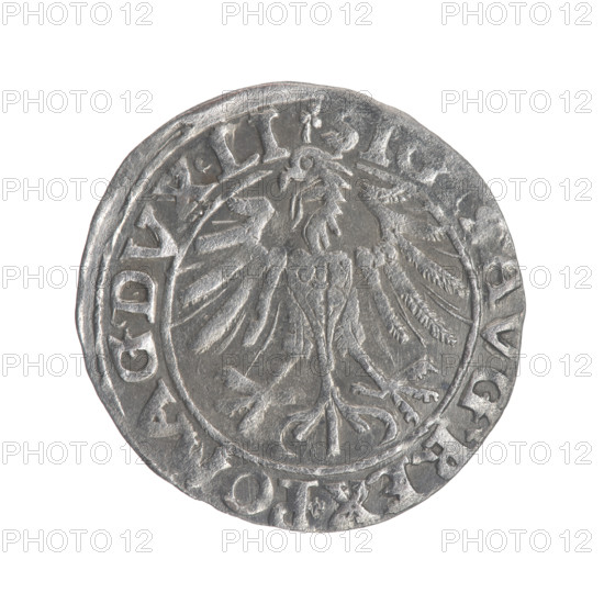 Lithuanian half-grosz, Sigismund II Augustus (King of Poland; 1544–1572). Obverse: Polish Eagle; in