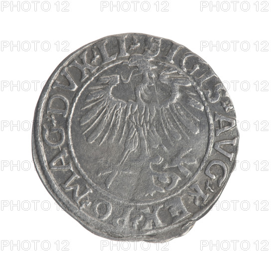 Lithuanian half-grosz, Sigismund II Augustus (King of Poland; 1544–1572); obverse: Polish Eagle