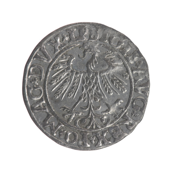 Lithuanian half-grosz, Sigismund II Augustus (King of Poland; 1544–1572). Obverse: Polish Eagle; in