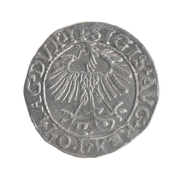 Lithuanian half-grosz, Sigismund II Augustus (King of Poland; 1544–1572). Obverse: Polish Eagle; in