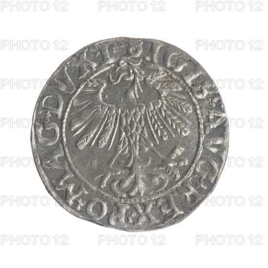 Lithuanian half-grosz, Sigismund II Augustus (King of Poland; 1544–1572). Obverse: Polish Eagle; in