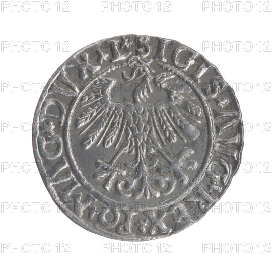 Lithuanian half-grosz, Sigismund II Augustus (King of Poland; 1544–1572). Obverse: Polish Eagle; in