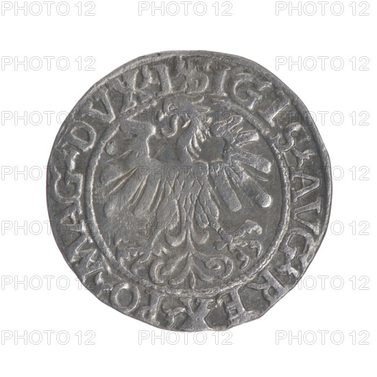 Lithuanian half-grosz, Sigismund II Augustus (King of Poland; 1544–1572); obv.: Polish Eagle, in
