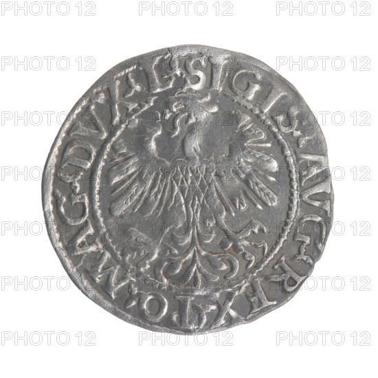 Lithuanian half-grosz, Sigismund II Augustus (King of Poland; 1544–1572). Obverse: Polish Eagle; in