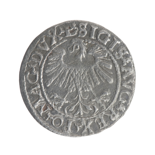 Lithuanian half-grosz, Sigismund II Augustus (King of Poland; 1544–1572). Obverse: Polish eagle; in