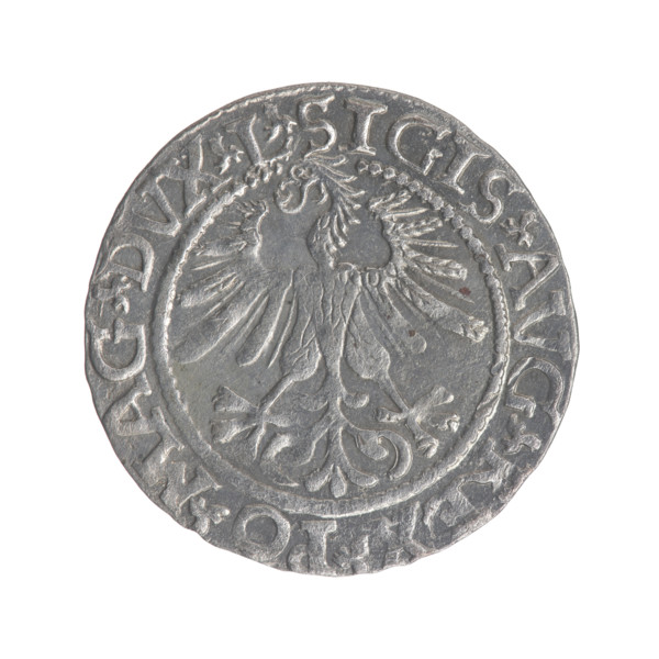Lithuanian half-grosz, Sigismund II Augustus (King of Poland; 1544–1572). Obverse: Polish eagle; in