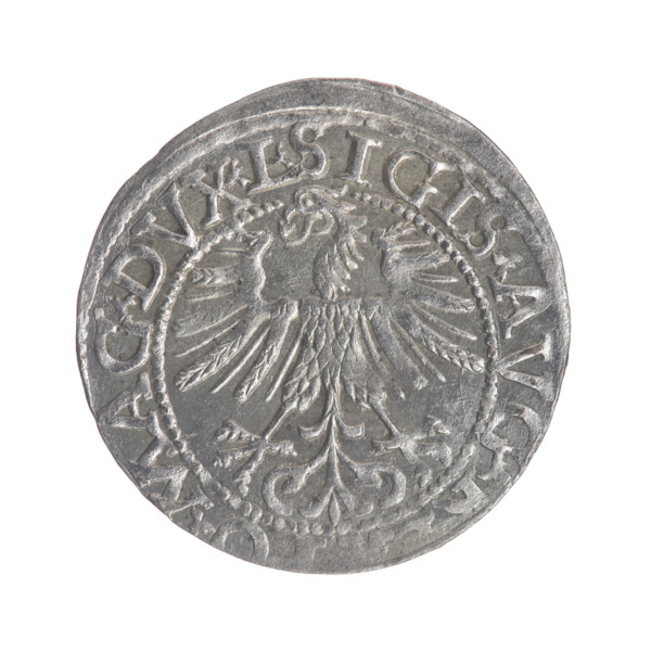Lithuanian half-grosz, Sigismund II Augustus (King of Poland; 1544–1572). Obverse: Polish Eagle; in
