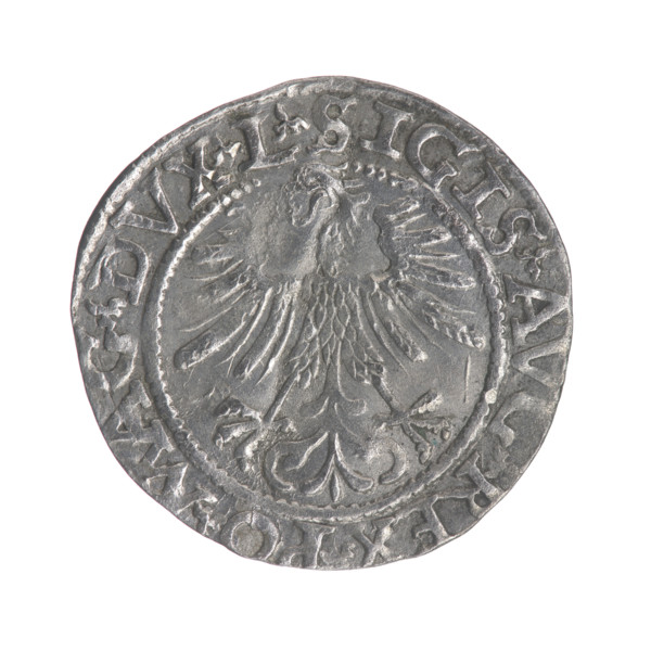 Lithuanian half-grosz, Sigismund II Augustus (King of Poland; 1544–1572). Obverse: Polish Eagle; in