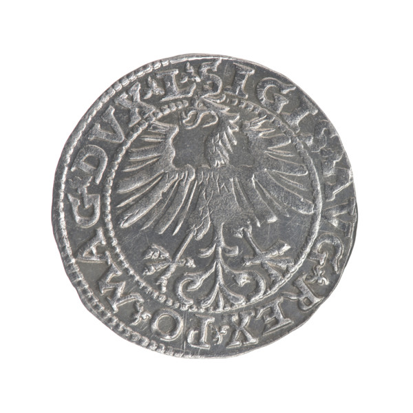 Lithuanian half-grosz, Sigismund II Augustus (King of Poland; 1544–1572). Obverse: Polish Eagle, in