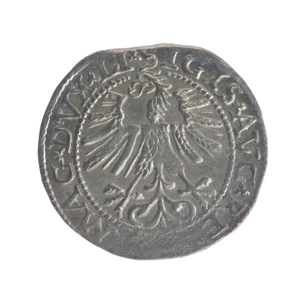 Lithuanian half-grosz, Sigismund II Augustus (King of Poland; 1544–1572), Tarlo, Gabriel (ca.