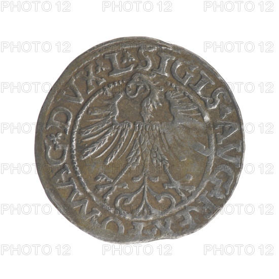 Lithuanian half-grosz, Sigismund II Augustus (King of Poland; 1544–1572). Obverse: Polish Eagle; in